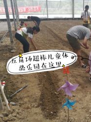 点击看大图 -麦粒鸟亲子游