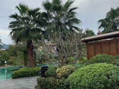-广州从化都喜泰丽度假温泉酒店