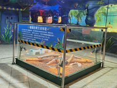 -上海大自然野生昆虫馆(东方明珠·爬宠昆虫探索中心)