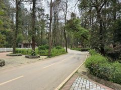 -贵州森林野生动物园
