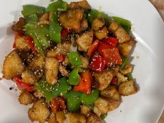 -煲来饱去冷水鱼