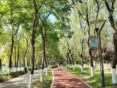 -大兴滨河森林公园
