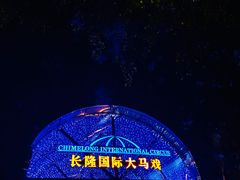 -广州长隆国际大马戏