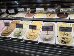 -Dooley's Premium Ice Cream