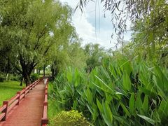 -观山湖公园