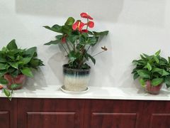-鲁班小馆(政四街店)