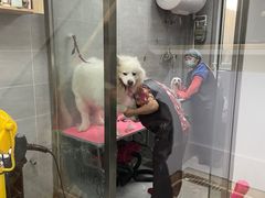 -宠福鑫康馨动物医院·骨科·眼科