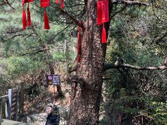 -苍山感通索道