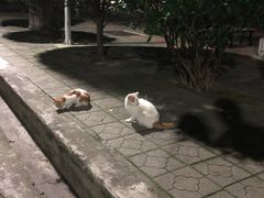 -东江海鲜酒家(艺都分店)