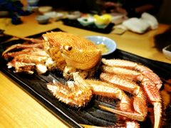-鲤·鮨KOISUSHI