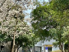 -浙江大学(玉泉校区)