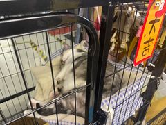 -谜盒子奇幻密室(南屏店)