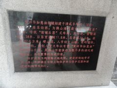 -黄祥华养生堂·炖汤·营养蒸饭(岭南天地店)