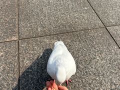 -灵山胜境