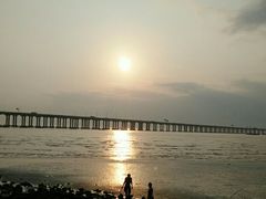 -宝安西湾红树林湿地公园