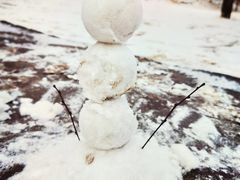 -元大都城垣遗址公园