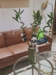 -蓝调造型·烫发·染发