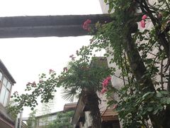 -陈熹公民族美食文化餐厅(中华广场店)