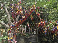 -三亚蜈支洲岛旅游区
