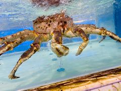 -青石桥市场北1-27号