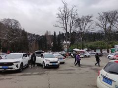 -武陵山森林公园