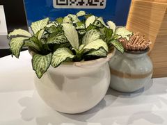 -山食间·中式营养轻餐(保利时光里店)