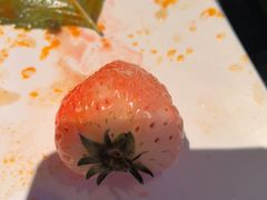 -奔海甄选·活鲜刺身铁板烧自助(太原里店)
