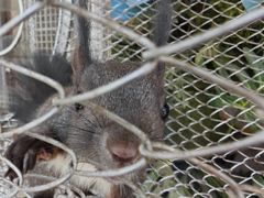 -南戴河国际娱乐中心