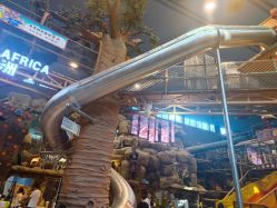 -卡通尼·Safari非洲探索乐园·生日会(金桥国际商业广场店)