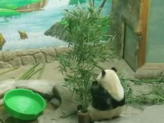 -青藏高原野生动物园