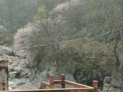 -西安祥峪森林公园