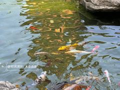 -吴作人艺术馆