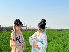 -杭州湾海上花田景区