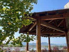 -青龙湖公园