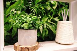 -悦诗风吟innisfree