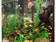 -The Dishes Seafood & Restaurant