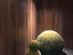 -明谷行馆·温泉
