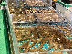 -九月海·海鲜自助(世纪东方店)