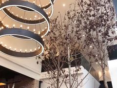 -桉树林A coffee 森林餐厅(三圣乡店)