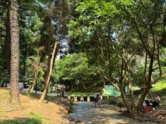 -东莞市大岭山森林公园