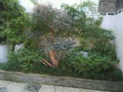 android_upload_pic-檀园
