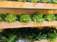 -满堂欢豆捞坊(美丽华大酒店店)