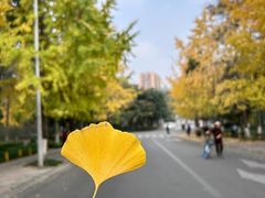 -升仙湖公园