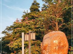 -顺峰山公园