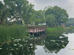 -新江湾城公园