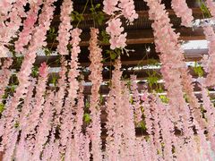 -秦岭终南山世界地质公园翠华山景区