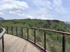 -山王坪喀斯特国家生态公园
