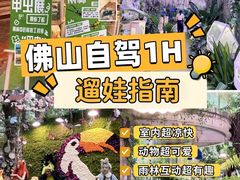 -正佳雨林生态植物园