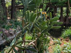 -昆明植物园