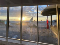 -米兰马尔彭萨国际机场